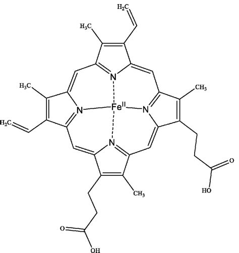 Image result for Complex Structure of Haemoglobin
