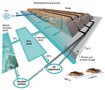 Image result for Bioleaching Process