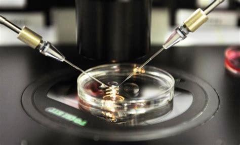 Researches Develop Genetic Key To Convert Skin Cells To Red Blood Cells