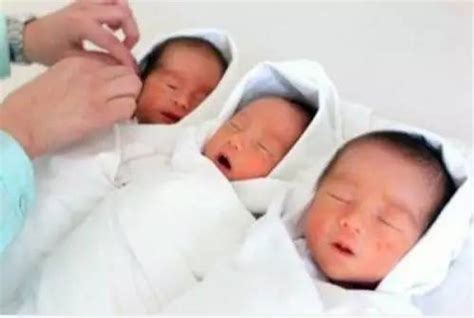 女子产下三胞胎竟有三个爹！真相让人震惊_新浪图片