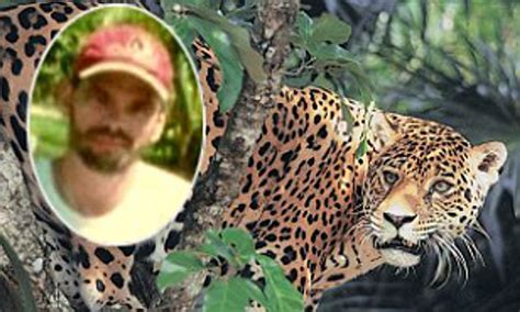 Jaguar Attack Human