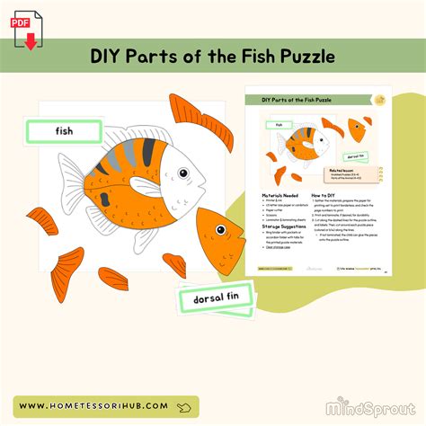 DIY Parts of the Seed Puzzle Botany Montessori Printable Material | Made By Teachers