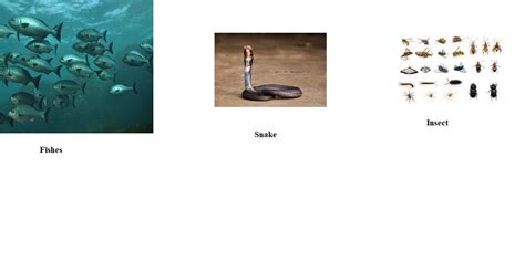 Name the method of movement of the following organisms one place to ...