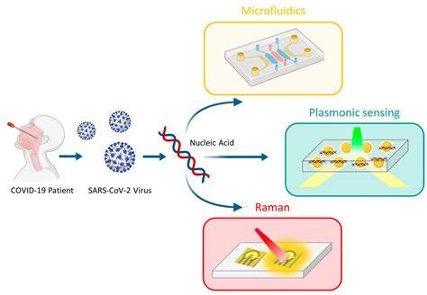 Image result for Nucleic Acid Amplification Test Explained