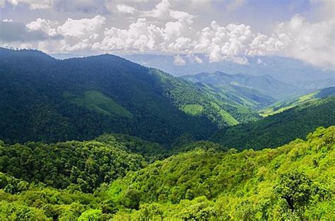 Spectacular View 的图像结果