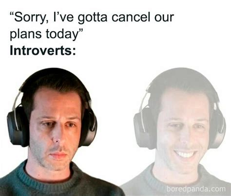 50 Spot-On Introvert Memes Shared By This Popular Instagram Account | Bored Panda