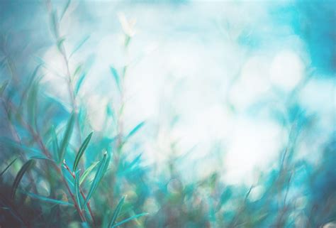 Fertitlity Treatments| Emotional Support for Infertility| Mind-Body ...