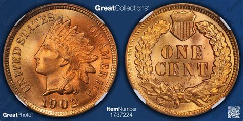 1902 Indian Cent NGC MS-66 RD (Item 1737224) | GreatCollections Coin ...