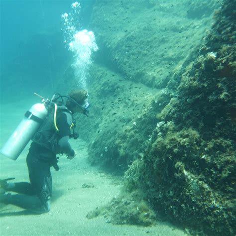 BLACK ROCK LEMNOS DIVE CENTRE (2026) All You Need to Know BEFORE You Go ...