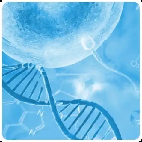 Kugawanyika kwa DNA ya Manii: Sababu, Matibabu na Matokeo