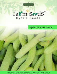 DIOART ® PUSA-16-Hybrid Tar Kakri 1 Packet Seeds Seed Price in India ...