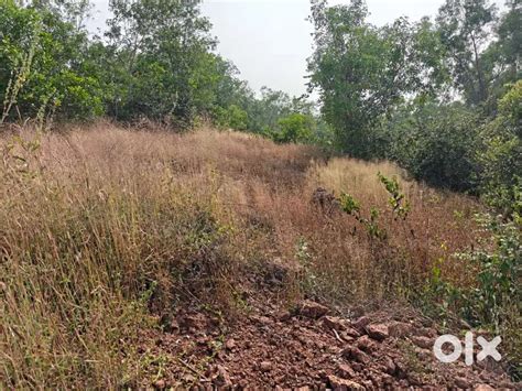Plot for sale - Lands & Plots - 1826912555