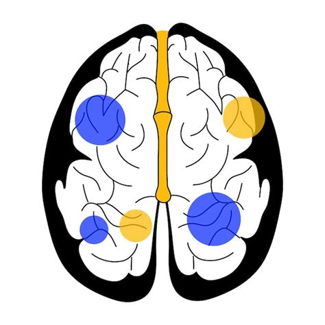A doodle style illustration showing human brain | Premium Vector