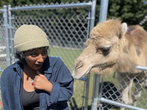 Debbie Dolittle's Indoor Petting Zoo | Indoor Arcade