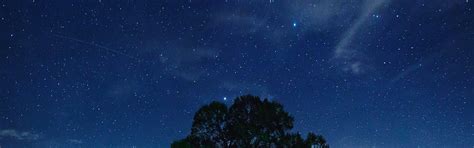 Download wallpaper the sky, tree, stars, Night, sky, night, stars, tree ...