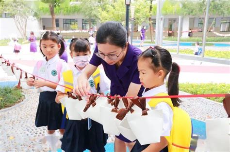 杭州钱江新城实验学校简介-杭州钱江新城实验学校排名|专业数量|创办时间-排行榜123网