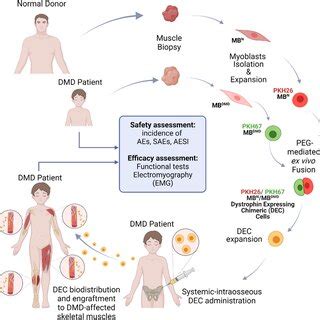 Image result for Astroscrip Pilot Program