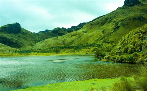 MacBook Green Screen Computer 的图像结果