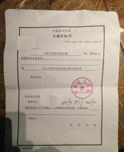 “大师”王林涉嫌非法持有枪支被立案调查-搜狐娱乐