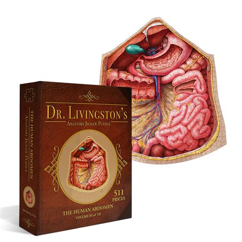 Buy Genius Games Human Abdomen Anatomy Jigsaw Puzzle | Dr Livingston's ...