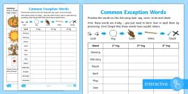 Year 2 Spelling Practice Homophones (1) Homework Worksheet / Worksheet