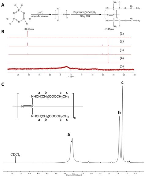 Electrospun Biodegradable α-Amino Acid-Substituted Poly ...