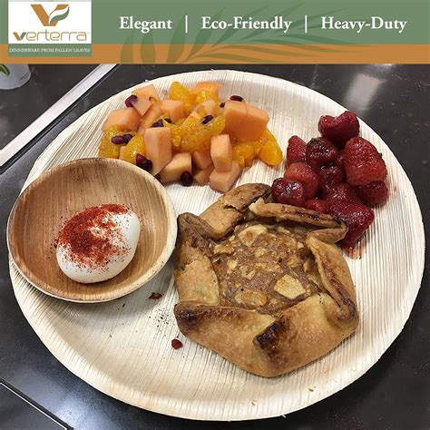 Buy Verterra Compostable Palm Leaf 10-inch Extra Large Round Disposable ...