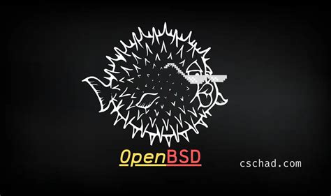 OpenBSD Installation Tutorial 2021 的图像结果