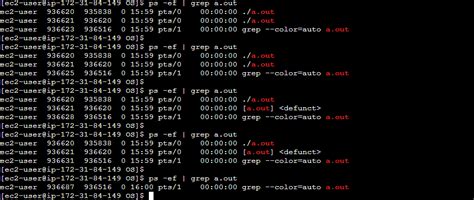 Zombie Process Example 的图像结果