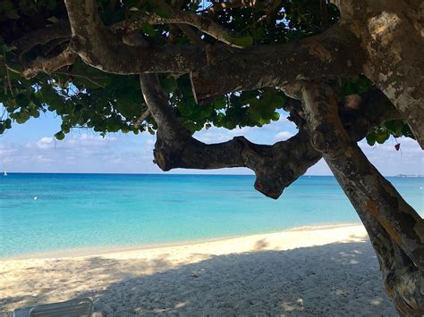 Plantana Condominiums Pool Pictures & Reviews - Tripadvisor