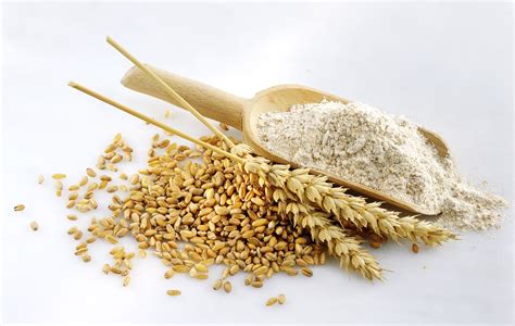 Whole Wheat Flour vs. White Flour