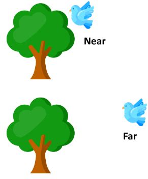 Prepositions - English for LKG PDF Download
