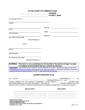 Fillable Online Uniform Domestic Relations Form 20 (Shared Parenting ...