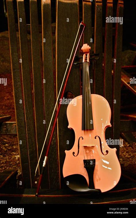 Stringed Instrument 的图像结果