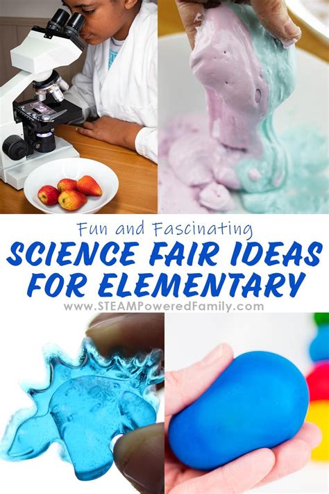 Elementary Science Fair Projects 的图像结果