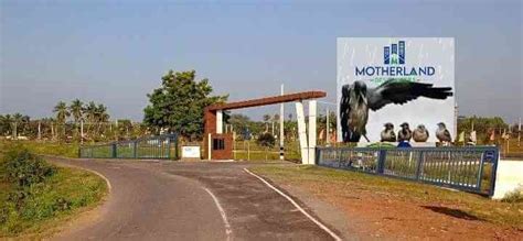 MOTHERLAND DEVELOPERS