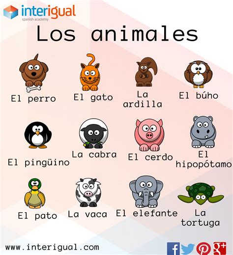Los animales en español/ The animals in spanish | Recursos de enseñanza ...