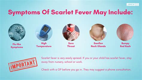 Can Cats Get Scarlet Fever at Steven Watt blog