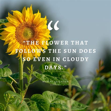 55 inspirational flower quotes – Artofit