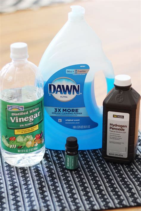 Diy Best Carpet Cleaner at Sean Swick blog