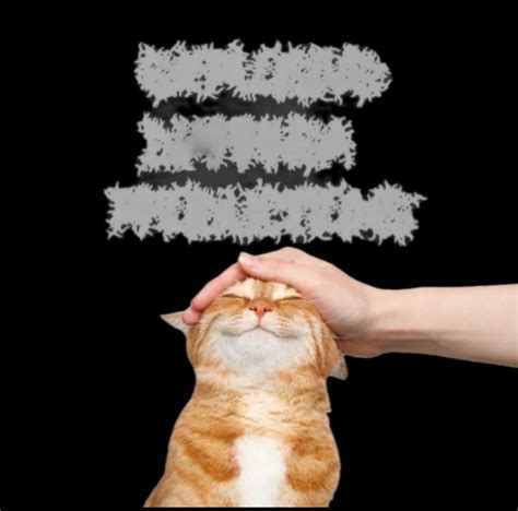 Dpk Explosive Diarrhea 的图像结果