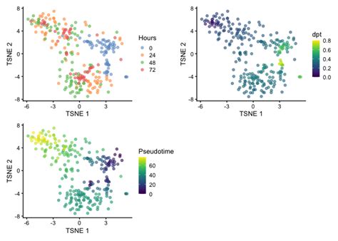 Diffusion Maps Pseudo-Time 的图像结果