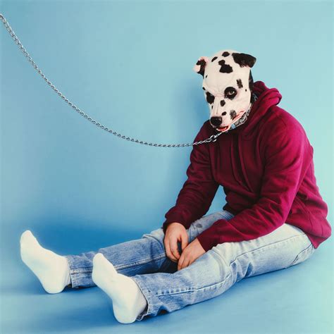 Unpacking The Viral Sensation Miss Kittys Journey And Her Impact On ...