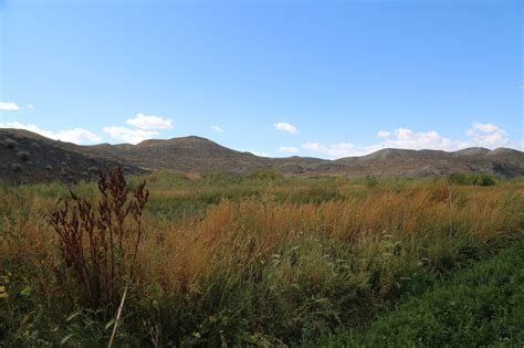 Local People in Welling 的图像结果