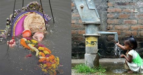 Dead Turtles, Fish Choke Beaches During Ganpati Visarjan, India Has 271 ...