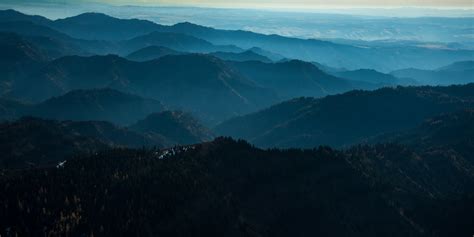 The Blues: Natural History of the Blue Mountains of northeastern Oregon ...