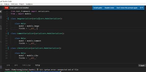 Python Installation VSC 的图像结果