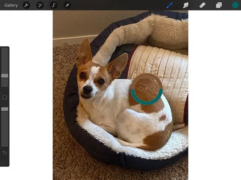 Image result for How to Match Color in Procreate