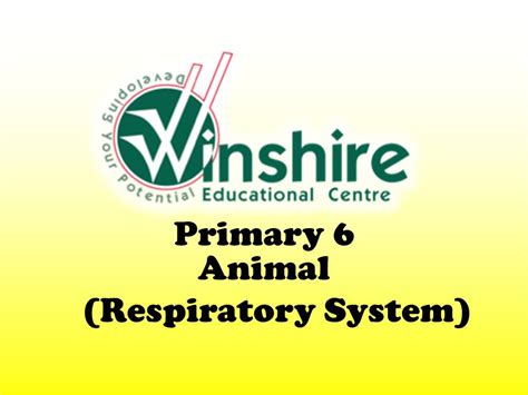 Classification Science P6 的图像结果