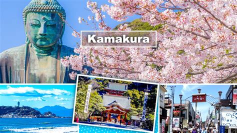 Kamakura and Enoshima Day Tour from Tokyo, Japan - Klook India